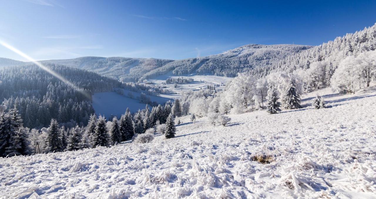 Bed & Breakfast Kosowka Czarna Gora *